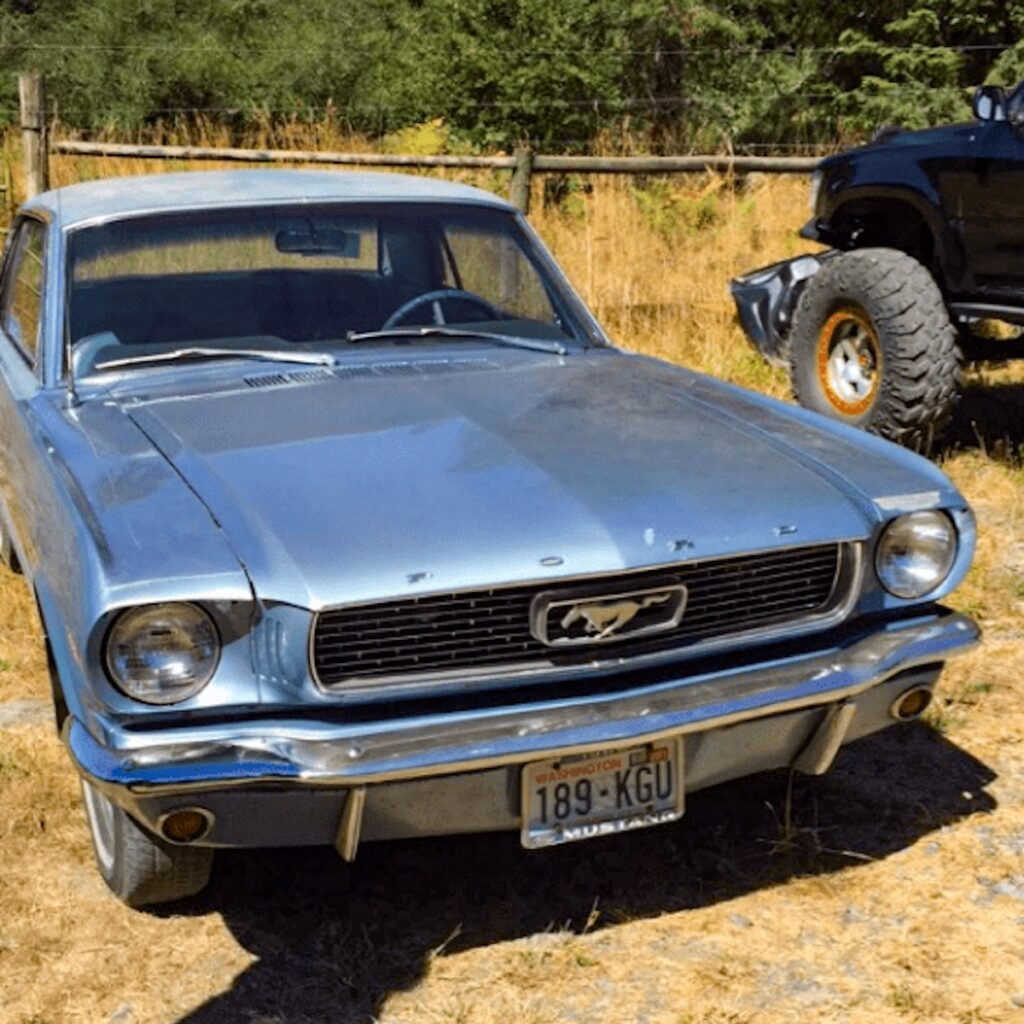 Before Marissa. This 1966 Mustang coupe hadn’t been registered for years, quietly waiting for a second life.
