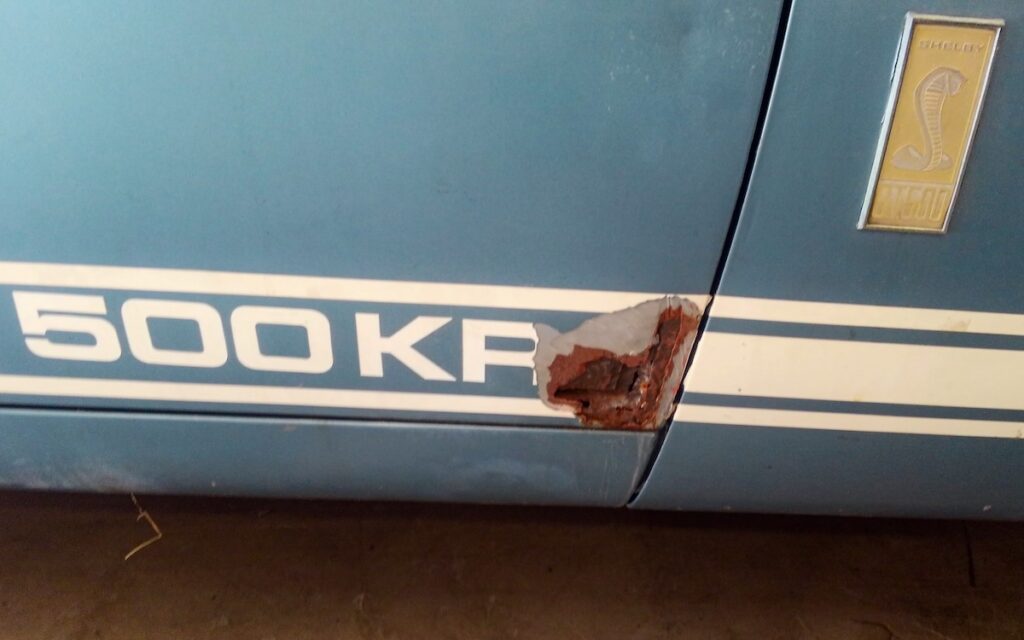 Visible rust on the front right fender of David’s 1967 Shelby GT500 survivor