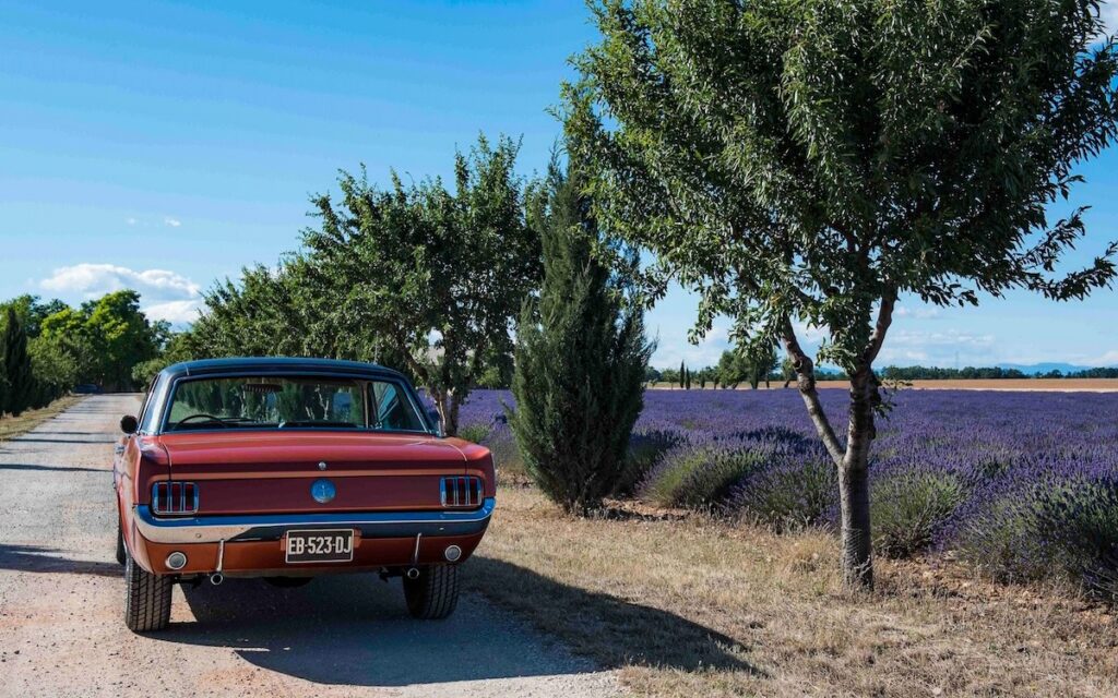 1966 Mustang Emberglo driving near lavender fields in Provence