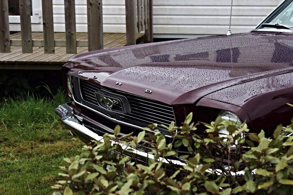 Vintage Burgundy in the rain—a color that never looks the same twice, changing with every ray of sunlight.