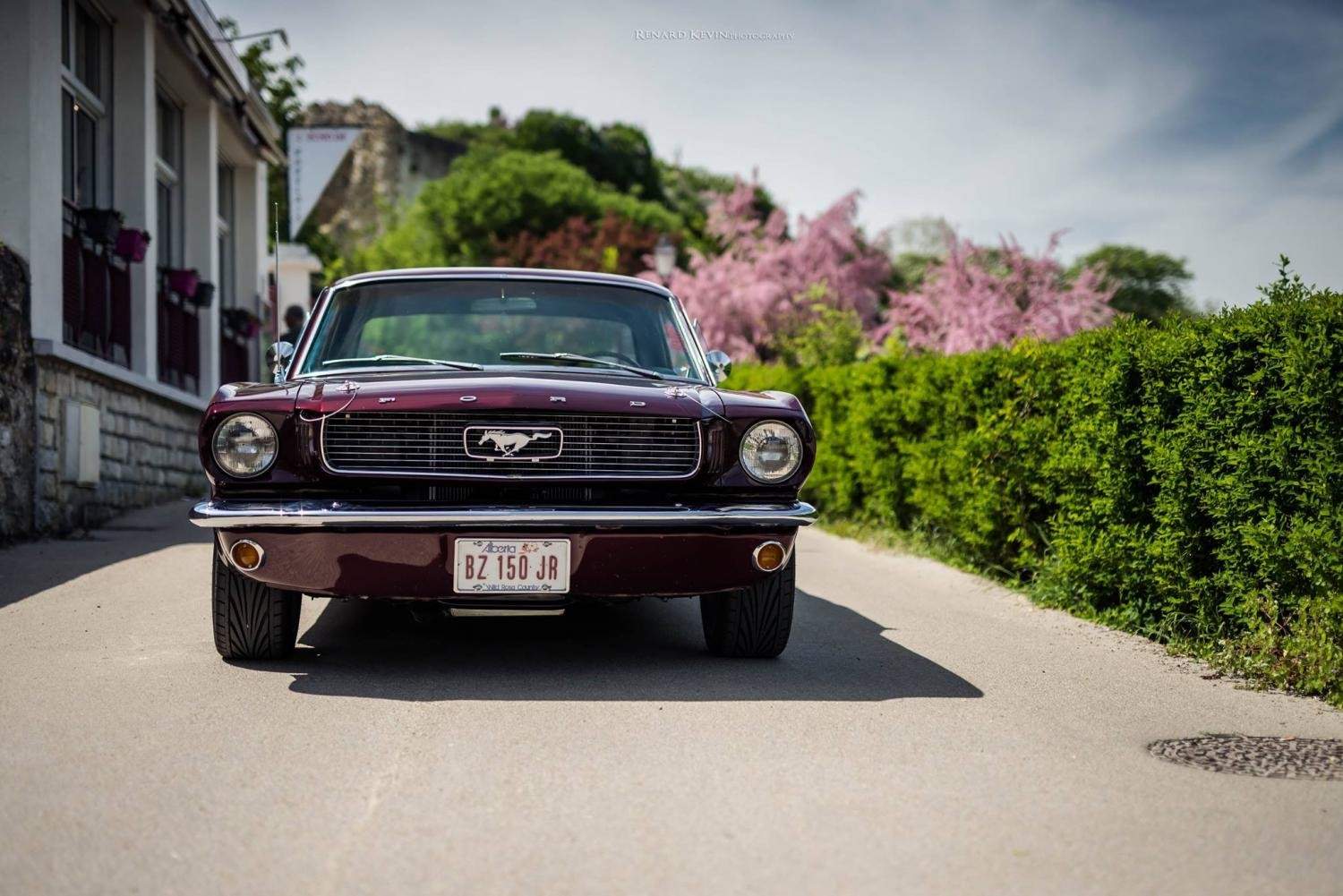 Kelly, Sébastien’s 1966 Mustang Coupe Restoration in Vintage Burgundy, ready for the road.